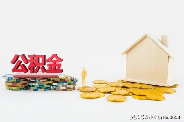 关于公积金取现手续费，一次关于三十万公积金的探讨与解析