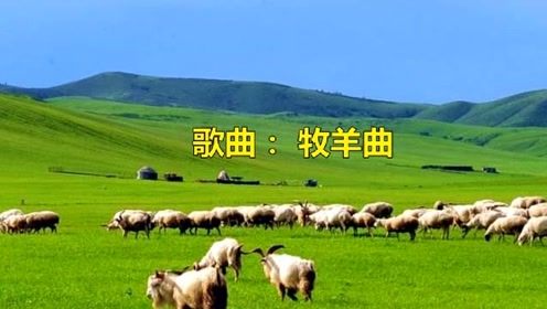 包头套出来羊小咩享花卡，带你畅游草原生活新体验！