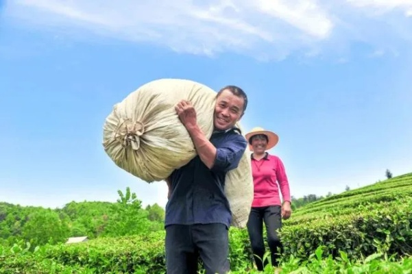 脱贫又致富，歌声中的希望与力量
