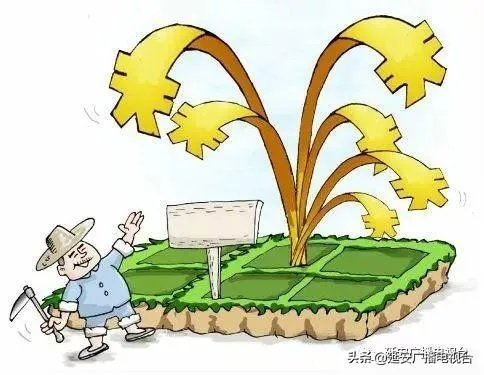 看看国家靠什么致富—一个深入的分析与探讨