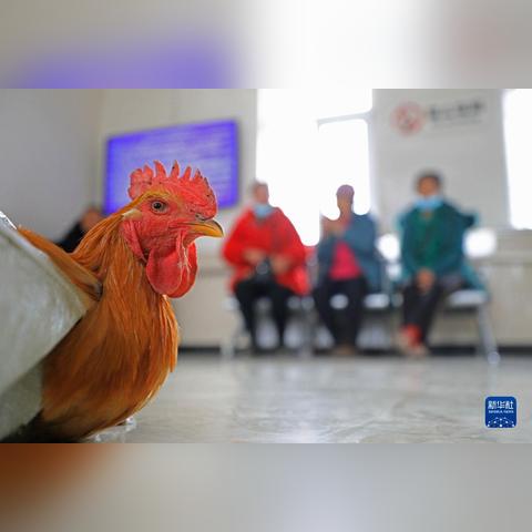 石城最佳生意选择与赚钱策略详解