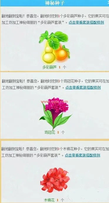 明年种植哪种花草能赚钱？看我一一揭秘！
