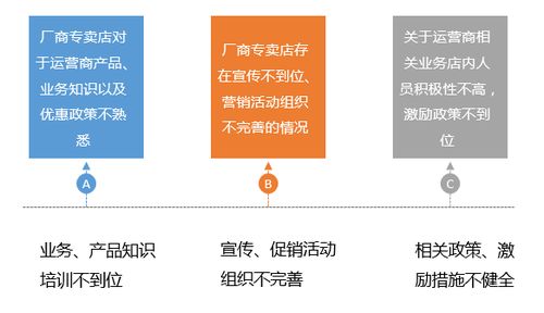 农村致富之路，多元化渠道探索与成功案例分享