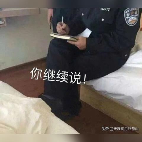 黑客查开房记录，揭秘非法入侵与信息安全警示