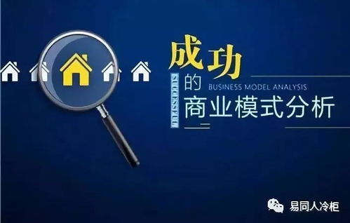 疯子系统窗品牌，打造个性化电脑体验的先锋