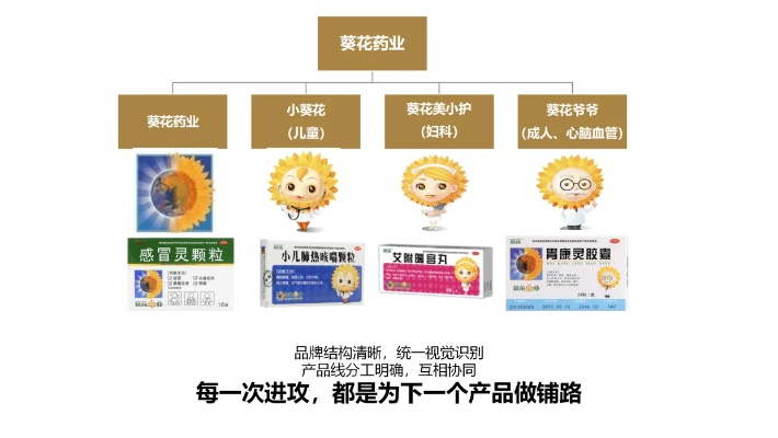 打造个性化医药品牌产品的策略与案例分析