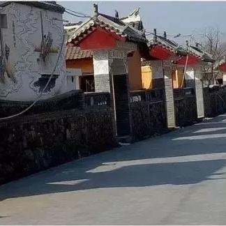 庭院致富新项目大揭秘，探索新时代下的庭院经济新模式