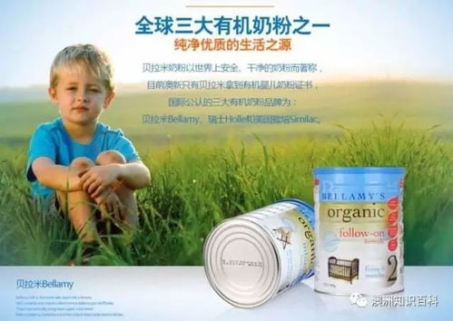 曲靖母婴营养品品牌排名与选择指南
