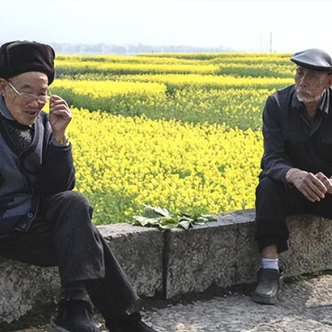 帮孩子选择赚钱生意，全方位解析与案例分享
