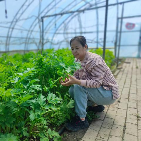 种植什么致富项目好？看我一一揭秘热门种植致富项目