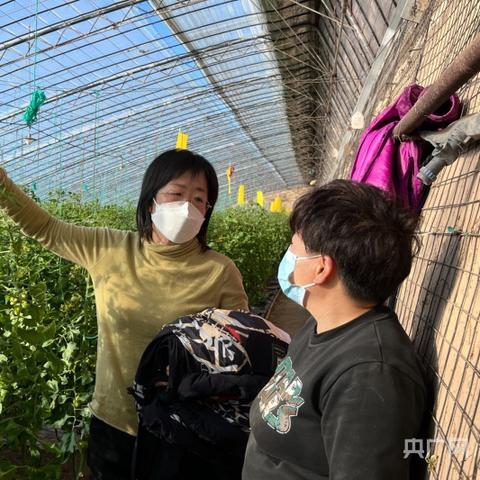 农村种什么蔬菜能致富？详解种植热门与策略