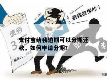 转转分期能套出来吗？真相大揭秘！