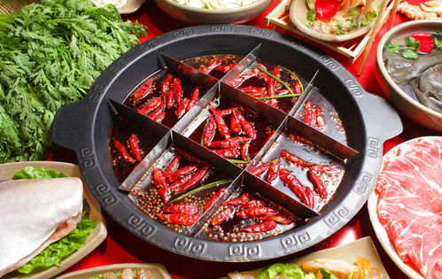 广东特色火锅餐饮品牌概览