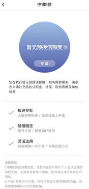 中银企e贷授信额度提现全攻略