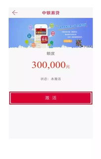 中银企e贷授信额度提现全攻略