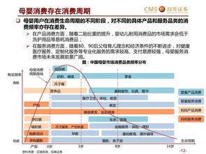 母婴品牌数字化变革全景解析
