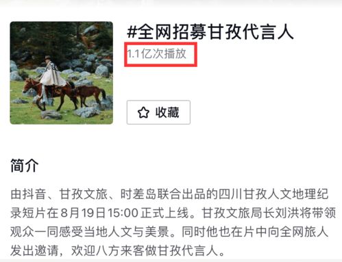 甘孜州抖音月付取现攻略，轻松变现，让你的抖音收益不再难拿！