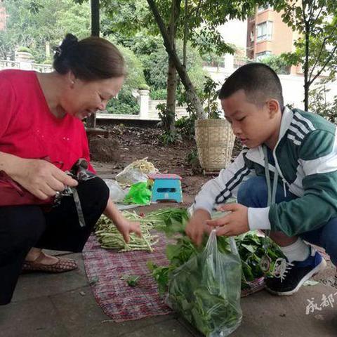 暑假工做什么可以赚钱？一文带你了解多种赚钱途径