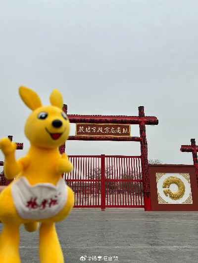羊小咩便荔卡套出来河南安阳，一场奇妙的旅行体验