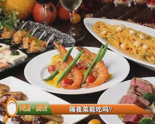 深圳餐饮品牌乐嚼，探索美食新境界