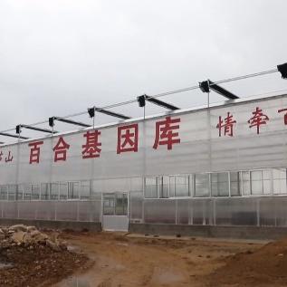 昆山玉山镇的致富秘诀，多元发展与创新驱动