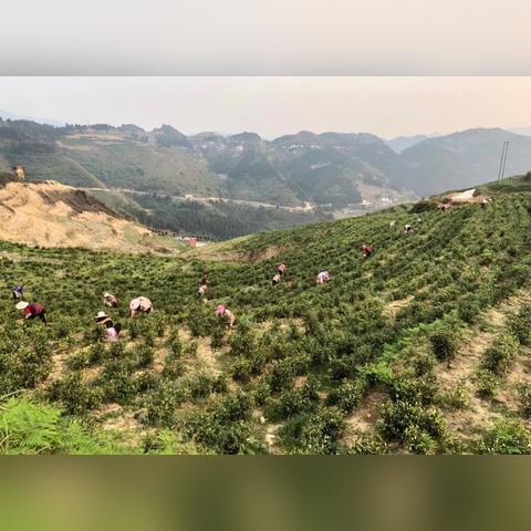 昆山玉山镇的致富秘诀，多元发展与创新驱动