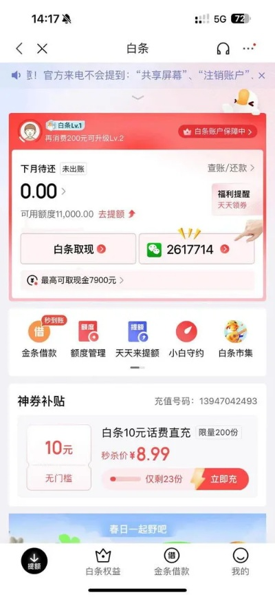 揭秘蚌埠京东白条提现攻略，轻松变现，享受便捷生活！
