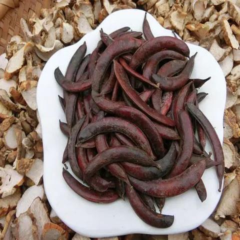 河北种植什么药材致富快？探究与实例分析