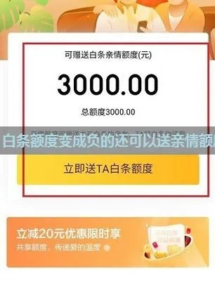 白条亲情额度套出来，深度解析与实用指南
