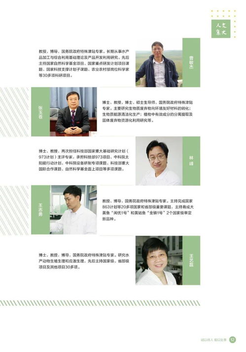 新博围棋学校加盟指南，从入门到精通