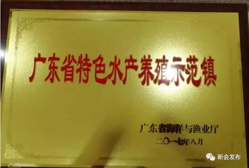 朝阳养什么能致富？探究朝阳养殖业的潜力与机遇