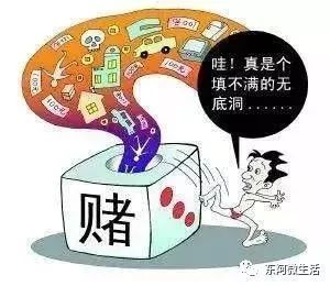 聚赌致富事件始末，揭示赌博背后的真相与案例剖析