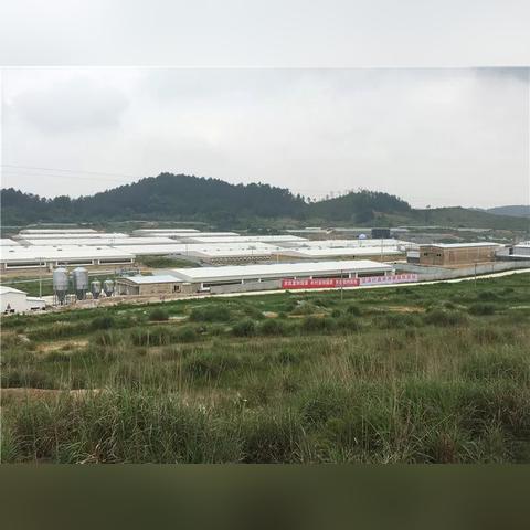 农场致富模式大解析，探索新时代的农业财富之路