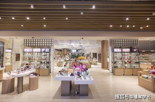 美容护理小家电品牌—打造您的美丽生活