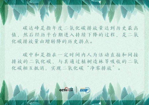 鲁家村致富之路，探索与启示