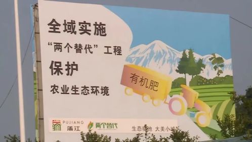 鲁家村致富之路，探索与启示