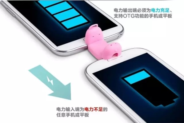 如何利用分期乐闪充套出来？