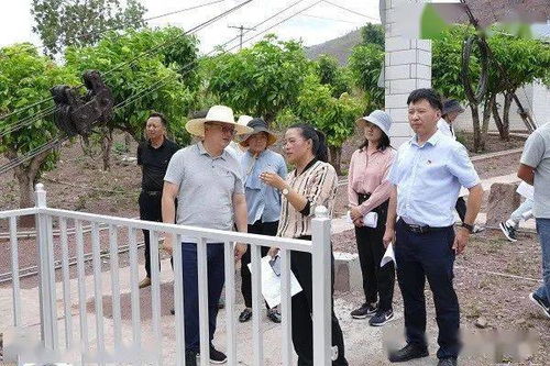 小禾7味加盟指南，如何轻松开启你的事业之旅