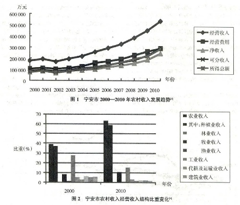 农民致富收入来源探究，多元化收入结构的实践与案例