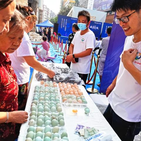 农村致富之路，探寻最佳项目，共创美好未来