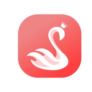 酒店可以查开房记录吗？详解背后的真相与注意事项