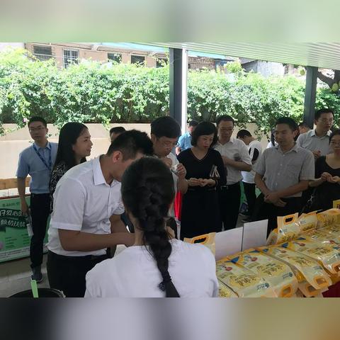 荔湾房子装修设计品牌精选