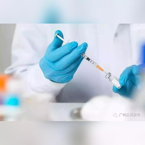 广东省母婴连锁品牌概览