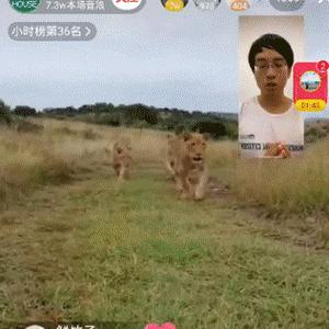 揭秘抖音月付提现大象秒到平台，快速到账的秘密武器！
