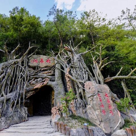 揭秘抖音月付提现大象秒到，轻松实现财富自由！