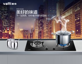 全球设计款家电品牌大盘点