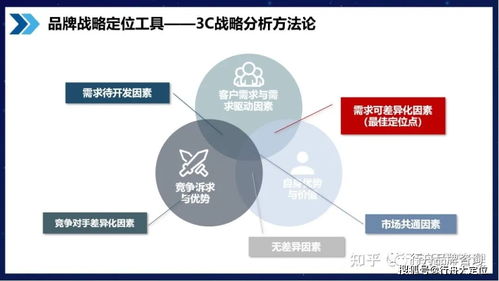医药品牌定位研究