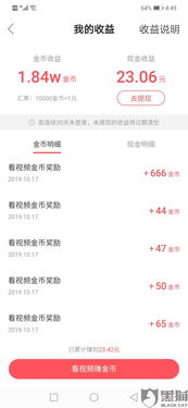 揭秘抖音月付提现大额码，轻松变现不是梦！