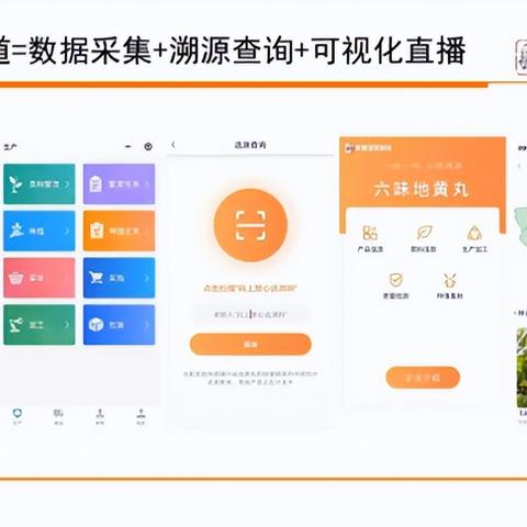 头部中医药品牌，传承与创新的典范