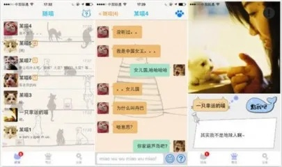 揭秘手机陌陌聊天记录查询，陌生人聊天内容如何轻松获取？